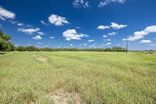 2451 FM 884, Yorktown, TX 78164