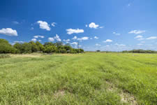 2451 FM 884, Yorktown, TX 78164