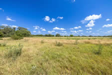 2451 FM 884, Yorktown, TX 78164