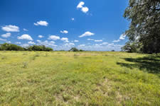 2451 FM 884, Yorktown, TX 78164