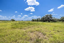 2451 FM 884, Yorktown, TX 78164