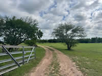 TBD FM 884 / Shelby Lane, Yorktown, TX 78164
