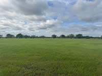 TBD FM 884 / Shelby Lane, Yorktown, TX 78164