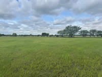 TBD FM 884 / Shelby Lane, Yorktown, TX 78164