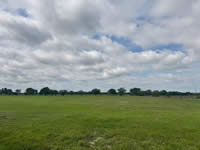 TBD FM 884 / Shelby Lane, Yorktown, TX 78164