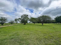 TBD FM 884 / Shelby Lane, Yorktown, TX 78164